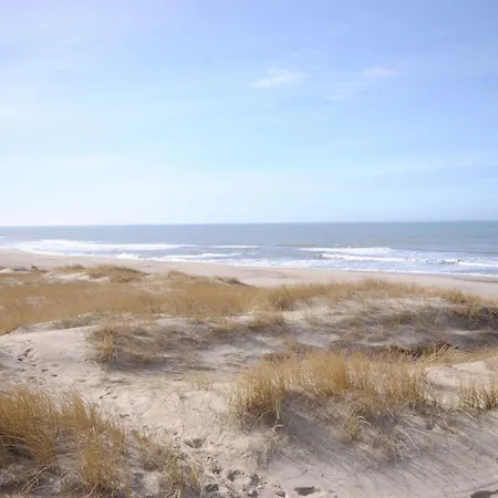 Elfrun - 250m From The Sea In Western Jutland By Interhome * Harboor