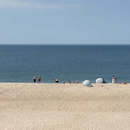 Elfrun - 250m From The Sea In Western Jutland By Interhome Holiday home